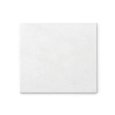 Gạch porcelain 800x800