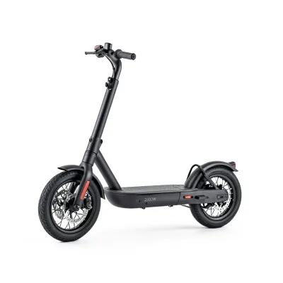 Electric Scooter 2000W